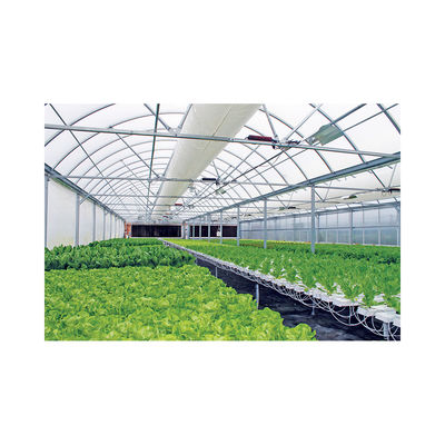 PVC NFT Hydroponic System for Vegetables Greenhouse 2m-5.8m Length Stable Steel Frame