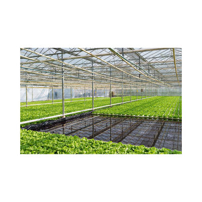 PVC NFT Hydroponic System for Vegetables Greenhouse 2m-5.8m Length Stable Steel Frame