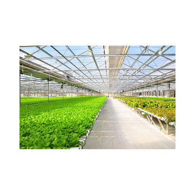 PVC NFT Hydroponic System for Vegetables Greenhouse 2m-5.8m Length Stable Steel Frame