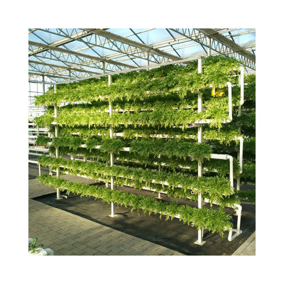 Wholesale Saving-water Hydroponics Vegetables  PVC Nft Hydroponics System For Hydroponic