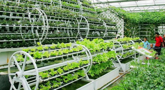 Wholesale Saving-water Hydroponics Vegetables  PVC Nft Hydroponics System For Hydroponic