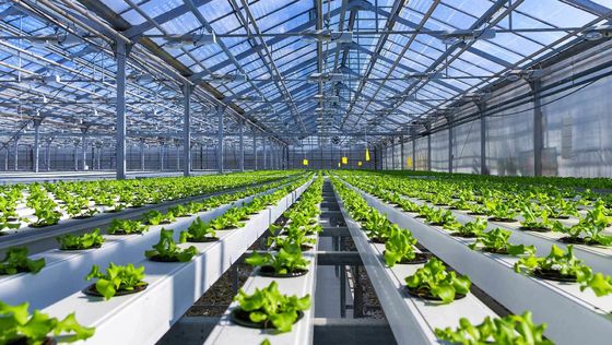 Wholesale Saving-water Hydroponics Vegetables  PVC Nft Hydroponics System For Hydroponic