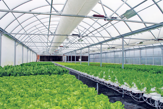 Wholesale Saving-water Hydroponics Vegetables  PVC Nft Hydroponics System For Hydroponic