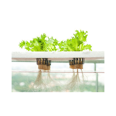 Large 2021 PVC Dwc Aquaponics Farm for High Density Soilless Agriculture of Seedlings