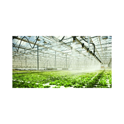 Large 2021 PVC Dwc Aquaponics Farm for High Density Soilless Agriculture of Seedlings