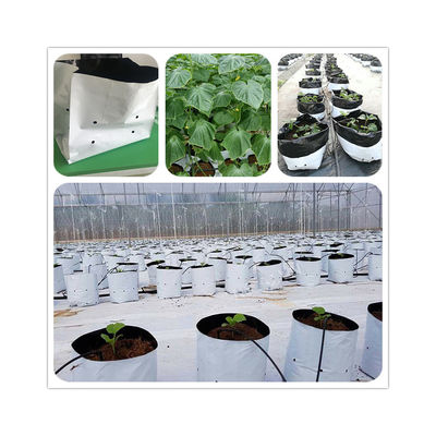PE Coated Accessories Rectangular Plastic Dutch Bucket for Hydroponic Tomato Growing
