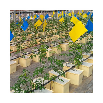 PE Coated Accessories Rectangular Plastic Dutch Bucket for Hydroponic Tomato Growing