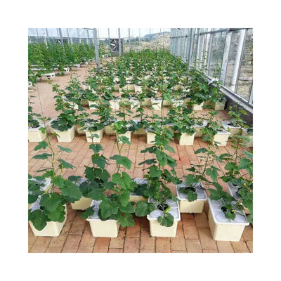 PE Coated Accessories Rectangular Plastic Dutch Bucket for Hydroponic Tomato Growing
