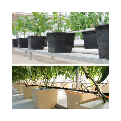 PE Coated Accessories Rectangular Plastic Dutch Bucket for Hydroponic Tomato Growing