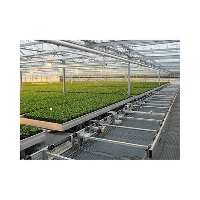 Top ABS Moving Seedbed for Agriculture Planting in Multi-Span Agricultural Greenhouses