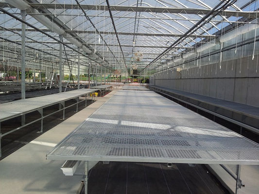 Top ABS Moving Seedbed for Agriculture Planting in Multi-Span Agricultural Greenhouses