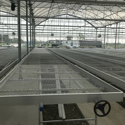 Top ABS Moving Seedbed for Agriculture Planting in Multi-Span Agricultural Greenhouses