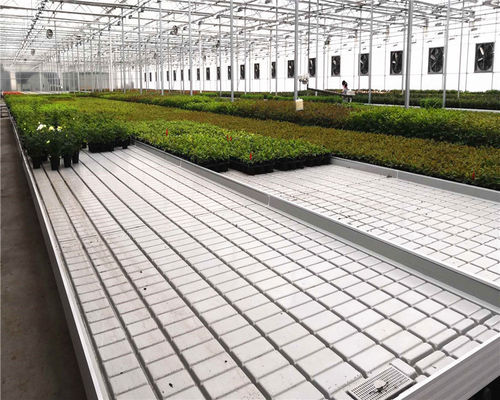 Top ABS Moving Seedbed for Agriculture Planting in Multi-Span Agricultural Greenhouses