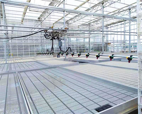 Top ABS Moving Seedbed for Agriculture Planting in Multi-Span Agricultural Greenhouses