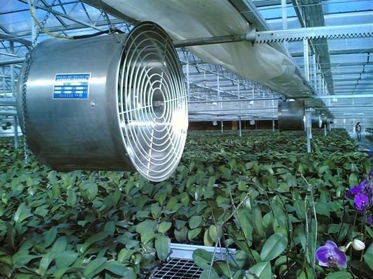 Stainless Steel Large Industrial Exhaust Fan 50/60HZ Frequency at NSR Greenhouse