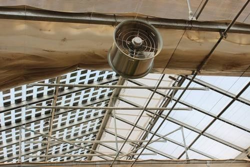 Stainless Steel Large Industrial Exhaust Fan 50/60HZ Frequency at NSR Greenhouse