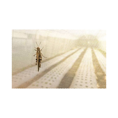 Single-Layer Insect-Proof Mesh Agricultural Greenhouses with Eco-Friendly PE Nylon Plastic