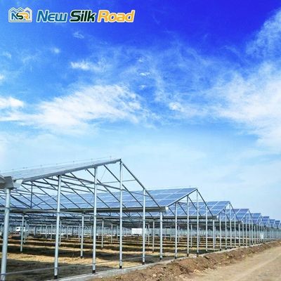 Film Cover Solar Double Layer Tunnel Agricultural Greenhouses with Customized Length