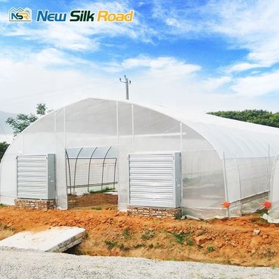 Small Agricultural Poly Tunnel Greenhouse Low Cost Garden Cover with Plastic Film Single Layer PE Steel Material for Plant