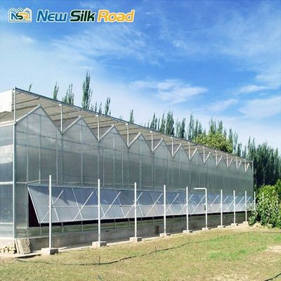 Large Agricultural Polycarbonate Greenhouse with Prefabricated Assembly and Pc Sheet