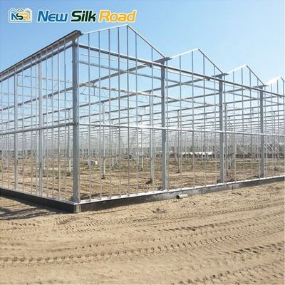 Multi-Span Venlo Greenhouse with Hot Dip Galvanized Steel Frame and NSR Instruction