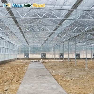 Multi-Span Venlo Greenhouse with Hot Dip Galvanized Steel Frame and NSR Instruction