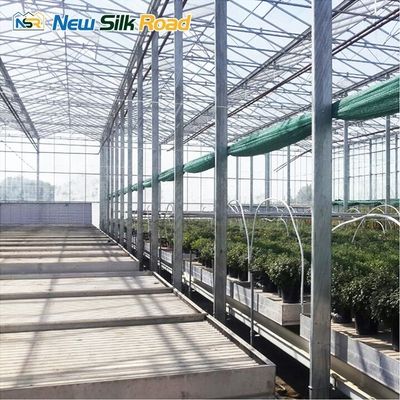 Multi-Span Venlo Greenhouse with Hot Dip Galvanized Steel Frame and NSR Instruction