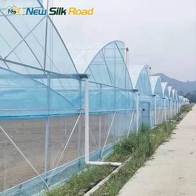 Sawtooth Greenhouse with PEP Hot Dip Galvanized Materials and Green Plastic Film Cover