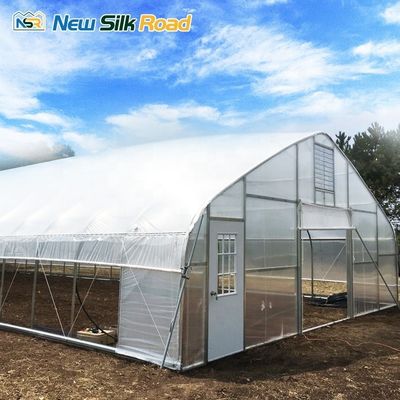 Roof Vents and Side Vents Equipped Greenhouse for Single-Span Strawberry Farming