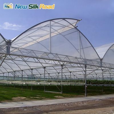 Steel Plastic Film Greenhouse with Hot Galvanized Steel Pipe Material and Ventilation