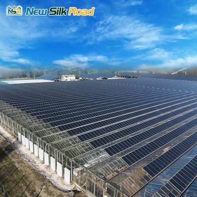 Solar-Powered Large and Small Agricultural Greenhouses Galvanized Steel Frame with PE Film Glass Cover for Plant Usage