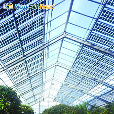 Hydroponic Solar Glass Greenhouse for Plant Steel Galvanized Steel Easy to and Maintain