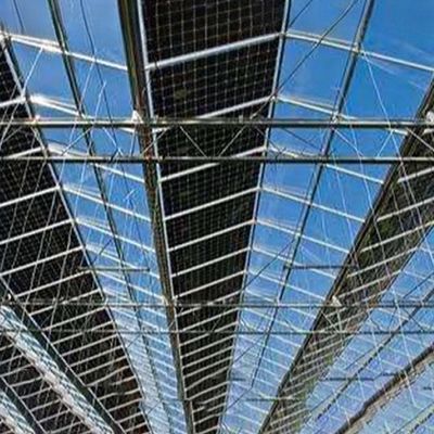 Hydroponic Solar Glass Greenhouse for Plant Steel Galvanized Steel Easy to and Maintain
