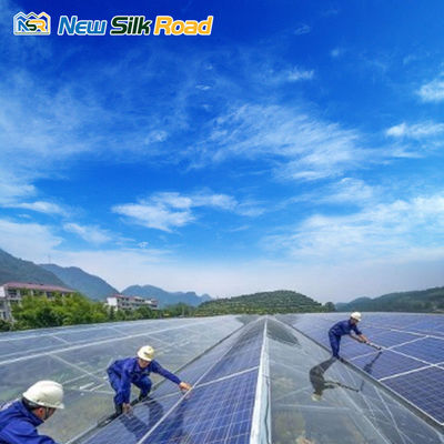 Hydroponic Solar Glass Greenhouse for Plant Steel Galvanized Steel Easy to and Maintain