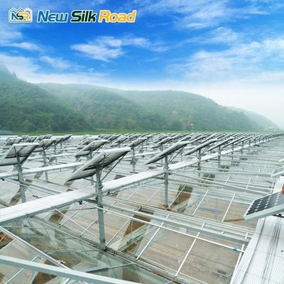 Solar-Powered Large and Small Agricultural Greenhouses Galvanized Steel Frame with PE Film Glass Cover for Plant Usage