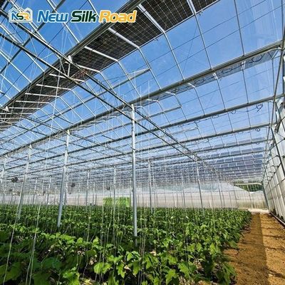 Solar-Powered Large and Small Agricultural Greenhouses Galvanized Steel Frame with PE Film Glass Cover for Plant Usage