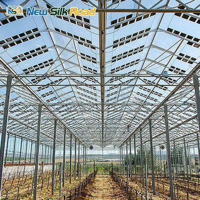 Solar-Powered Large and Small Agricultural Greenhouses Galvanized Steel Frame with PE Film Glass Cover for Plant Usage