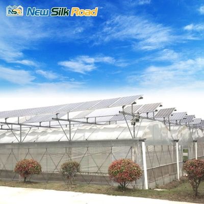 Hot Dip Galvanized Material Multi-Span Photovoltaic Greenhouses for Agricultural Needs