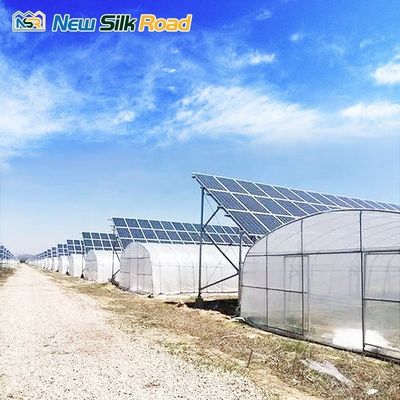 Small Single-Span Solar Greenhouse for Agriculture Made of PE and Galvanized Steel
