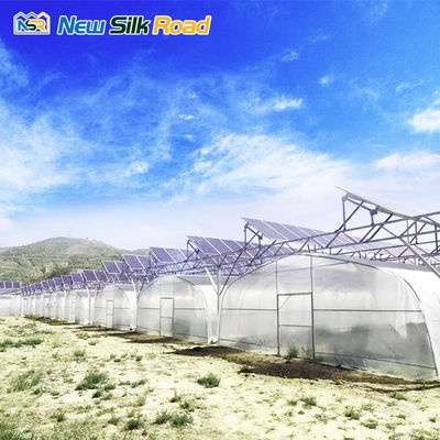 Small Single-Span Solar Greenhouse for Agriculture Made of PE and Galvanized Steel