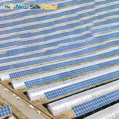 Small Single-Span Solar Greenhouse for Agriculture Made of PE and Galvanized Steel