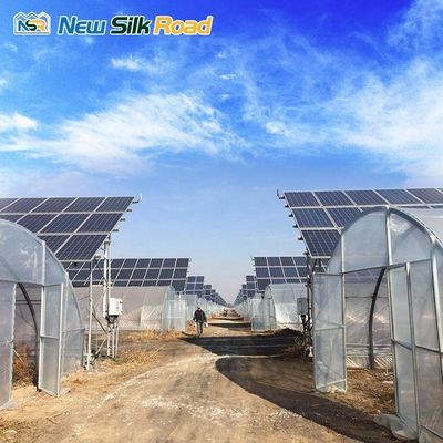 Small Single-Span Solar Greenhouse for Agriculture Made of PE and Galvanized Steel