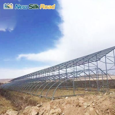 Small Single-Span Solar Greenhouse for Agriculture Made of PE and Galvanized Steel
