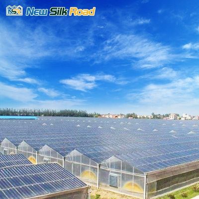 NSR Greenhouse Affordable Polycarbonate Greenhouses with Ventilation and Solar Power