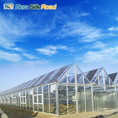 Multi-Span Agricultural Greenhouse with Hot Dip Galvanized Steel Frame and Ventilation