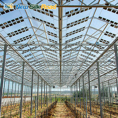 Multi-Span Agricultural Greenhouse with Hot Dip Galvanized Steel Frame and Ventilation