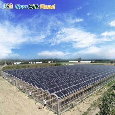 Multi-Span Agricultural Greenhouse with Hot Dip Galvanized Steel Frame and Ventilation