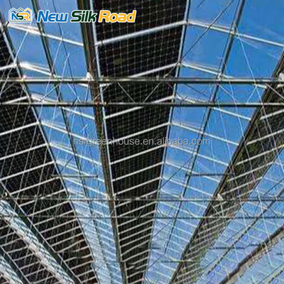Multi-Span Agricultural Greenhouse with Hot Dip Galvanized Steel Frame and Ventilation