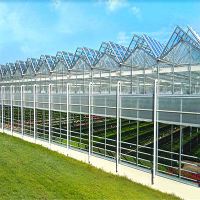 Agricultural Vegetable Tunnel Multi-Span Venlo Glass/Greenhouse for Farming Agricultur/Vegetables/Flowers/Tomato