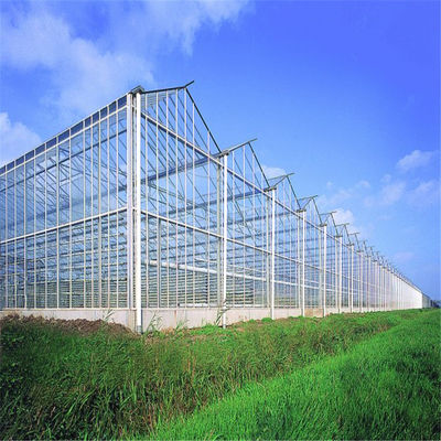 Agricultural Vegetable Tunnel Multi-Span Venlo Glass/Greenhouse for Farming Agricultur/Vegetables/Flowers/Tomato